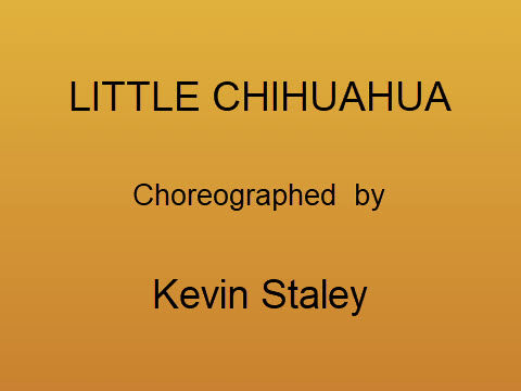 Little Chihuahua